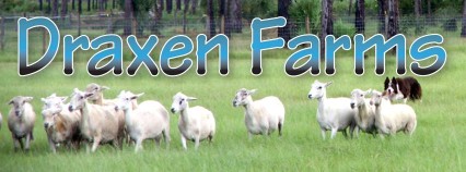 Image of Draxen Farms service in Fort Pierce, Florida, United States Image of Draxen Farms service in Fort Pierce, Florida, United States