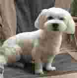 Image of Boule d'Amour service in Marseille, Bouches-du-Rhone, France