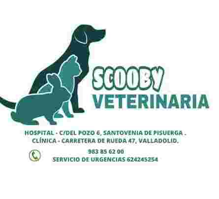 Image of Clínica Veterinaria Scooby service in Valladolid, Valladolid, Spain