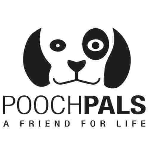 Image of Pooch Pals - New York service in New York, New York, United States Image of Pooch Pals - New York service in New York, New York, United States