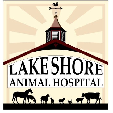 Image of Lake Shore Animal Hospital service in Nampa, Idaho, United States