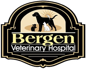Image of Bergen Veterinary Hospital service in Teaneck, New Jersey, United States Image of Bergen Veterinary Hospital service in Teaneck, New Jersey, United States
