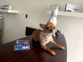 Image of HAPPY DOGS GROOMING service in Elizabeth, Colorado, United States Image of HAPPY DOGS GROOMING service in Elizabeth, Colorado, United States
