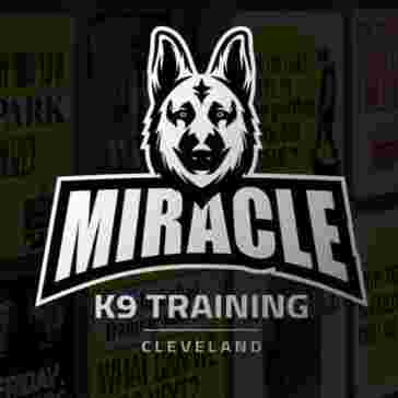Image of Miracle K9 Training service in Cleveland, Mississippi, United States
