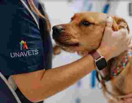 Image of Hospital Veterinario Valvet service in Zaragoza, Zaragoza, Spain