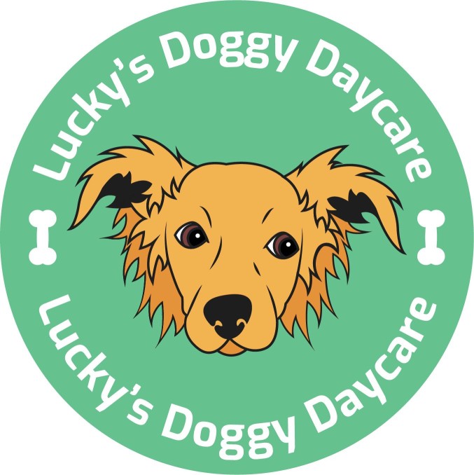 Image of FairyTails Doggy Daycare service in Burnaby, British Columbia, Canada