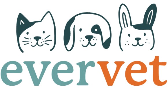 Image of EverVet Animal Hospital service in Wauwatosa, Wisconsin, United States Image of EverVet Animal Hospital service in Wauwatosa, Wisconsin, United States