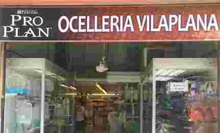 Image of Ocelleria Vilaplana service in Barcelona, Barcelona, Spain