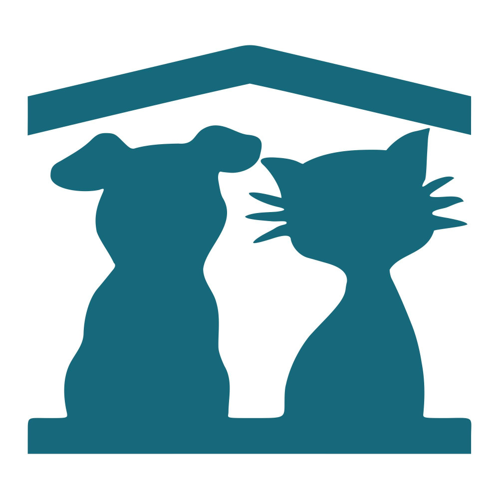 Image of OCYCO Dog grooming and pet service center service in Zaragoza, Zaragoza, Spain