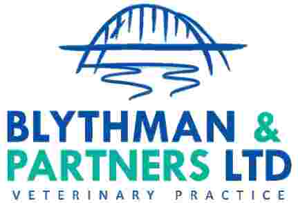 Image of Blythman & Partners - Gosforth Veterinary Hospital service in Newcastle upon Tyne, England, United Kingdom Image of Blythman & Partners - Gosforth Veterinary Hospital service in Newcastle upon Tyne, England, United Kingdom