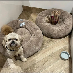 Image of Posh Dogz Luxury Dog hotel service in Waddicar, England, United Kingdom