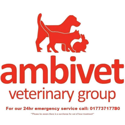 Image of Ambivet Veterinary Group - Heanor service in Amber Valley, England, United Kingdom
