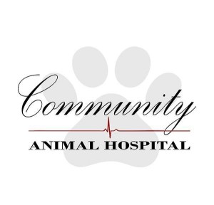Image of Community Animal Hospital, LLC service in Warsaw, Indiana, United States Image of Community Animal Hospital, LLC service in Warsaw, Indiana, United States