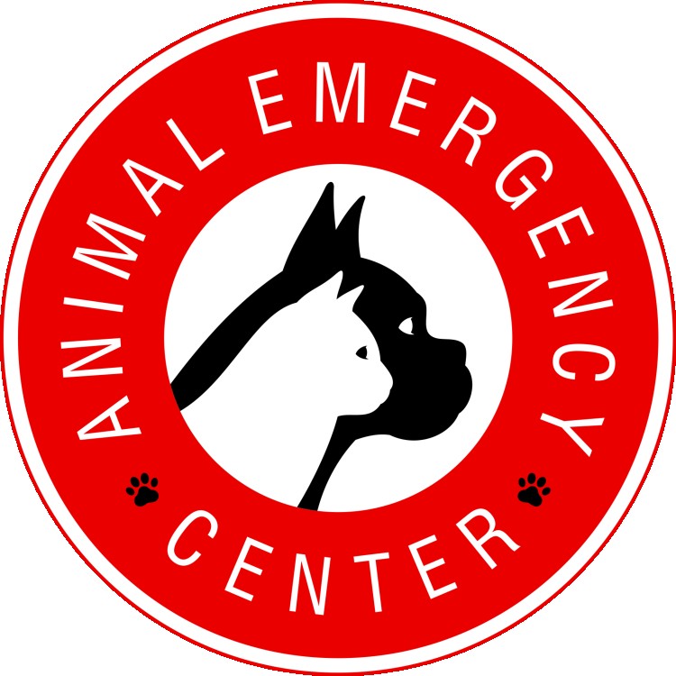 Image of Animal Emergency & Surgical Center service in Oklahoma City, Oklahoma, United States Image of Animal Emergency & Surgical Center service in Oklahoma City, Oklahoma, United States