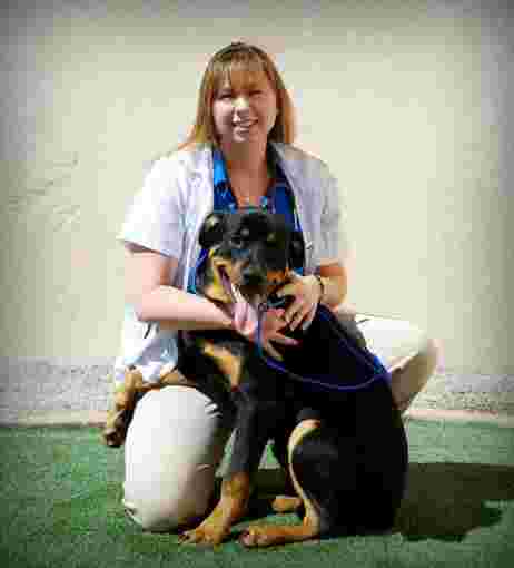 Image of Centennial Hills Animal Hospital - Kimber Singer, DVM service in Las Vegas, Nevada, United States
