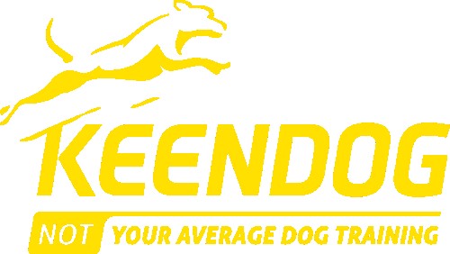 Image of KeenDog service in Old Point Station, South Carolina, United States