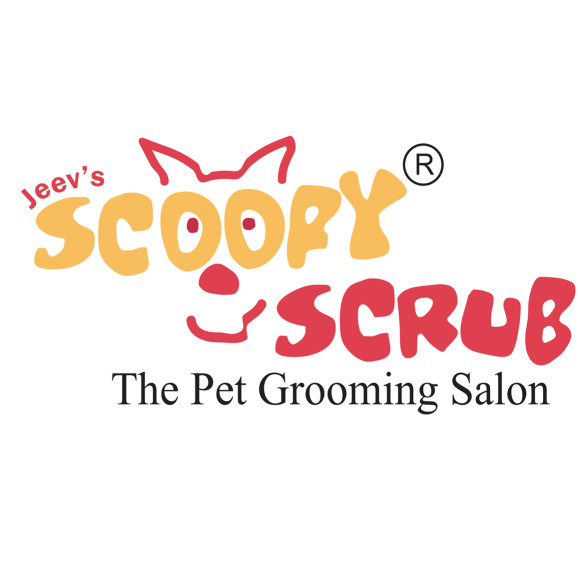 Image of Scoopy Scrub - New Delhi service in New Delhi, Delhi, India