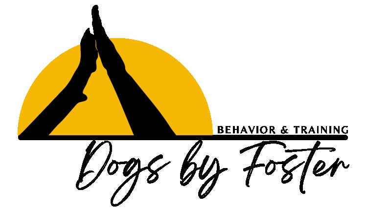 Image of Dogs by Foster, Behavior and Training service in Fort Collins, Colorado, United States Image of Dogs by Foster, Behavior and Training service in Fort Collins, Colorado, United States