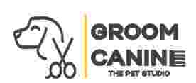 Image of Groom Canine- The Pet Studio service in Gurugram, Haryana, India