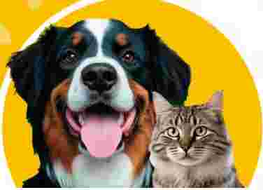 Image of Zoo Service - Serradifalco service in Palermo, Sicilia, Italy