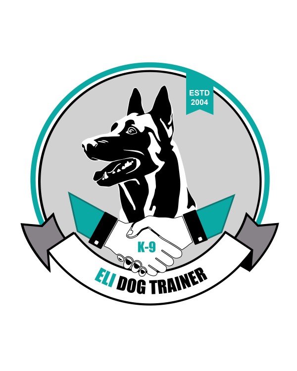 Image of Eli Dog Trainer service in Innisfil, Ontario, Canada