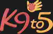 Image of K9To5 Dog Training service in Colorado Springs, Colorado, United States Image of K9To5 Dog Training service in Colorado Springs, Colorado, United States