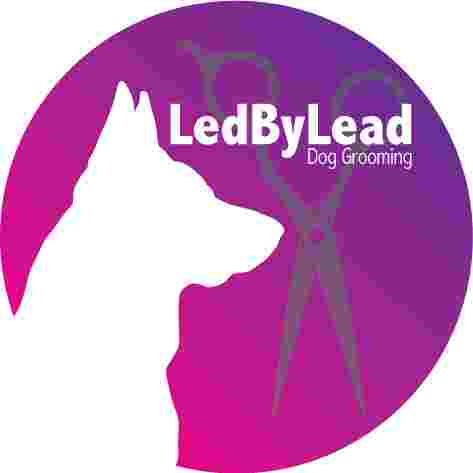 Image of LedByLead Dog Grooming Horsforth service in Horsforth, England, United Kingdom