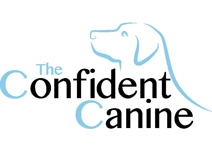 Image of The Confident Canine service in Flemington, Pennsylvania, United States