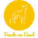 Image of Hundeschule München-Pasing - Freude am Hund service in Munchen, Bayern, Germany Image of Hundeschule München-Pasing - Freude am Hund service in Munchen, Bayern, Germany