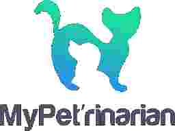 Image of MyPeterinarian service in Copenhagen, Capital Region of Denmark, Denmark
