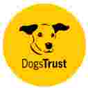 Image of Dog School Newcastle - Gateshead service in Gateshead, England, United Kingdom