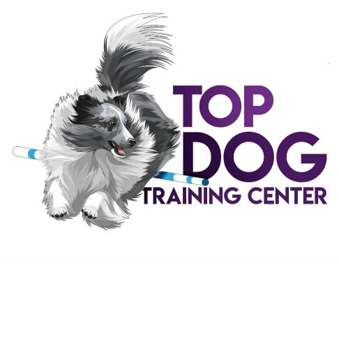 Image of Top Dog Training Center service in Helotes, Texas, United States