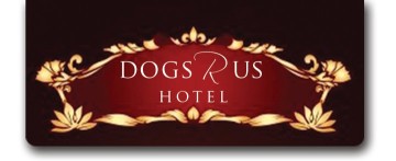 Image of Dogs R Us Hotel - Lutz service in Lutz, Florida, United States Image of Dogs R Us Hotel - Lutz service in Lutz, Florida, United States