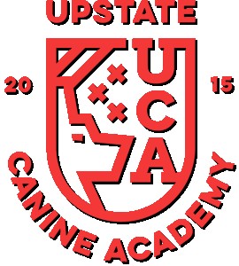 Image of Upstate Canine Academy - Clifton Park service in Town of Clifton Park, New York, United States Image of Upstate Canine Academy - Clifton Park service in Town of Clifton Park, New York, United States