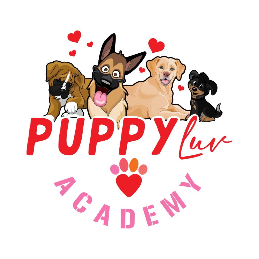 Image of PuppyLuv Academy Inc. service in Novato, California, United States Image of PuppyLuv Academy Inc. service in Novato, California, United States