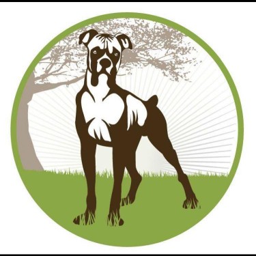 Image of Enzo's Dog Training service in Portland, Connecticut, United States Image of Enzo's Dog Training service in Portland, Connecticut, United States