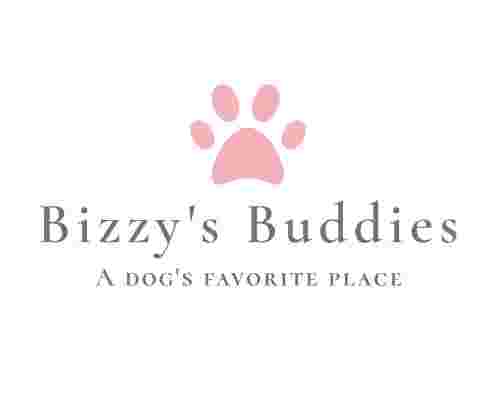 Image of Bizzy's Buddies service in Walnut Creek, California, United States Image of Bizzy's Buddies service in Walnut Creek, California, United States