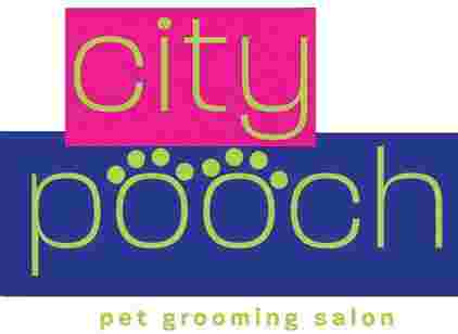 Image of City Pooch service in Miami, Florida, United States Image of City Pooch service in Miami, Florida, United States
