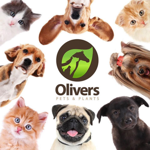 Image of Olivers Pets and Plants service in Glengowrie, South Australia, Australia