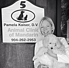 Image of Animal Clinic of Mandarin service in Jacksonville, Alabama, United States Image of Animal Clinic of Mandarin service in Jacksonville, Alabama, United States
