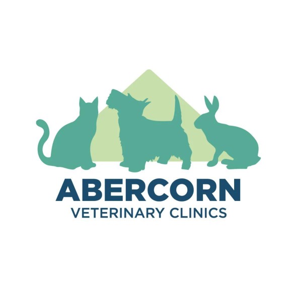 Image of Abercorn Vets - Portobello High Street service in Edinburgh, Scotland, United Kingdom Image of Abercorn Vets - Portobello High Street service in Edinburgh, Scotland, United Kingdom