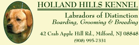 Image of Holland Hills Kennel service in Holland Township, New Jersey, United States