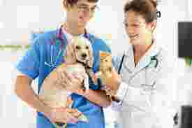 Image of Terry Animal Hospital service in Philadelphia, Pennsylvania, United States
