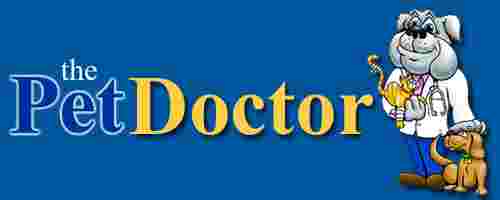 Image of The Pet Doctor service in Conway, Arkansas, United States