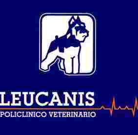 Image of Clínica Veterinaria Leucanis service in San Vicente del Raspeig, Comunidad Valenciana, Spain
