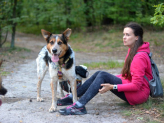 Image of Petsitter w Warszawie service in Warszawa, Mazowieckie, Poland