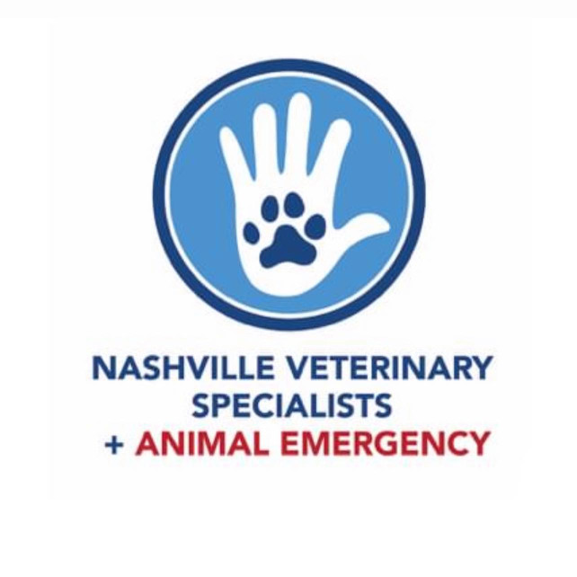 Image of Nashville Veterinary Specialists + Animal Emergency service in Nashville, Indiana, United States