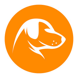 Image of FormaDogs service in Madrid, Madrid, Spain