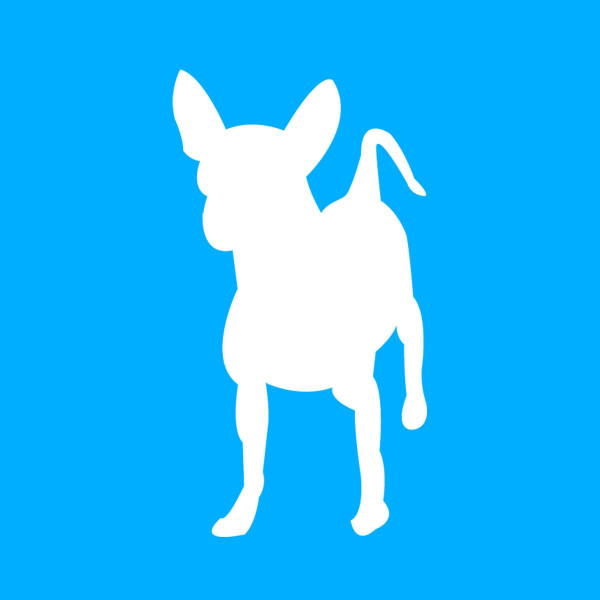 Image of Doggie Style Pets Queen Village service in Philadelphia, Pennsylvania, United States