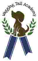 Image of Wagging Tail Academy service in Nashua, New Hampshire, United States
